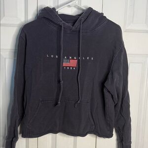 Brandy Melville Charcoal Crop Hoodie with Flag Graphic